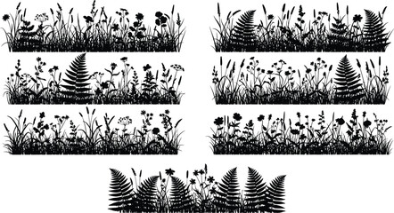 Wild meadow grass silhouette border set with wildflowers and fern plants isolated on white background vector illustration collection © Heyyy