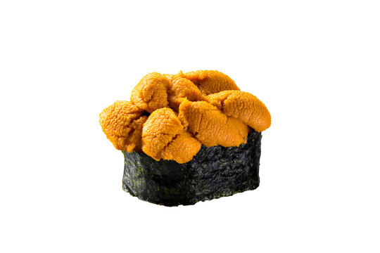 Uni sea urchin sushi gunkan isolated on transparent background