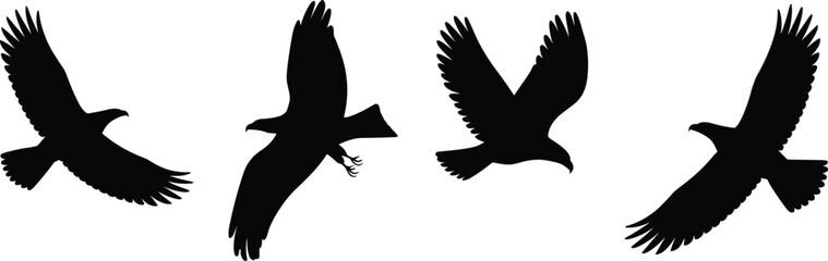 Fototapeta premium Dynamic composition of four black silhouette eagles in flight with outstretched talons and varied wing configurations on white