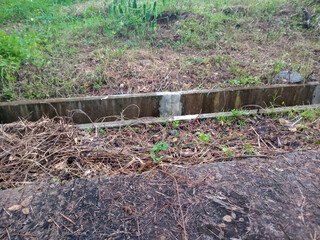 Overgrown roadside drainage ditch with debris and concrete curb