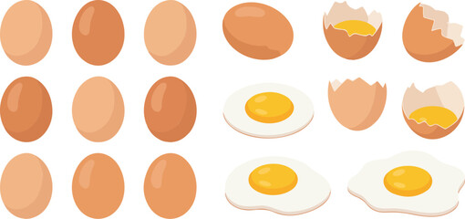 Egg Vector Illustration Set with Whole, Cracked, Boiled, and Fried Eggs