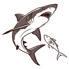 Naklejka premium Shark attacking small fish with open mouth and sharp teeth