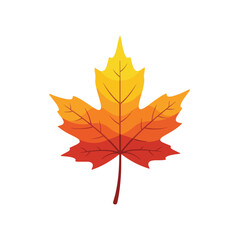 Obraz premium Colorful maple leaf with yellow, orange, and red gradient