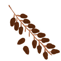 Obraz premium illustration of date fruit