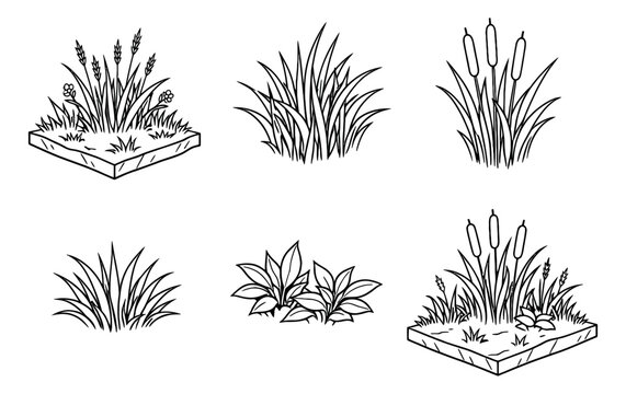 Hand drawn line art grass and plant set featuring various bushes, cattails, and wheat for nature and landscape design