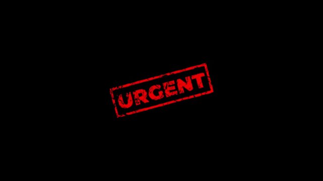 Urgent rubber stamp design animation on transparent background. Rubber, seal, red, vintage effect, textured, motion graphics for video content and web.stamp zooming text seal.