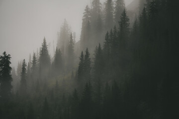 Colorado Rocky Mountains