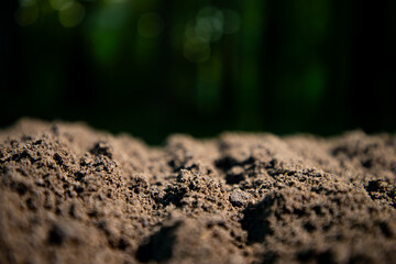 Fototapeta premium Humus and earth ground. Farming concept with soil and farm ground. Agricultural field cultivated land. Soil for planting and farming.