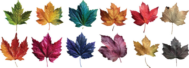 Obraz premium set of autumn leaves vector
