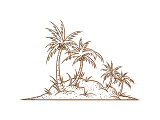 hand drawn coconut trees illustrations summer element
