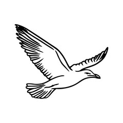 Obraz premium hand drawn soaring seagull for nautical theme