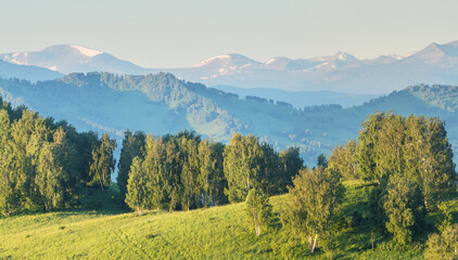 Obraz premium View of mountain valley on spring day, green forests and snow on the peaks