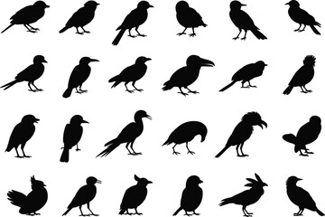 Obraz premium Black bird silhouettes vector collection isolated on white background avian wildlife icons various poses flat design illustration set elements pack