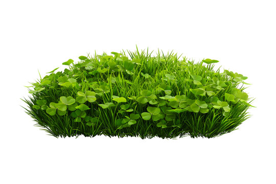 Clover grass patch isolated on transparent background