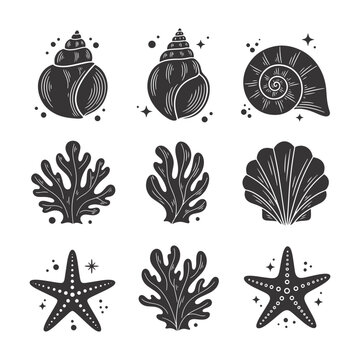 Vector black and white sea shells, coral, and starfish icons set with dots and stars, isolated on white