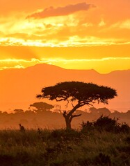 A vibrant sunset casts a warm glow over an African savanna, with a lone tree silhouetted against the mountains