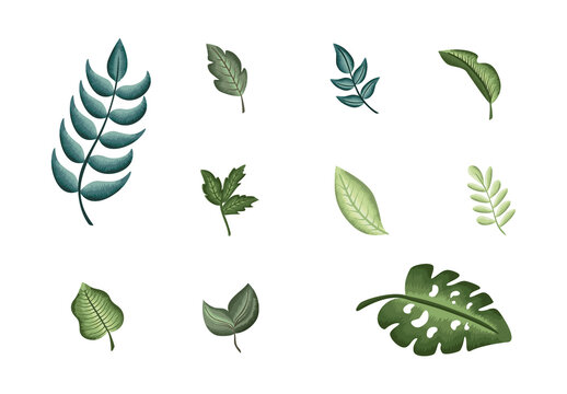 Nature and Botanical Design Set