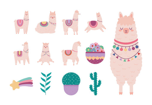 Sweet Llama Illustration Set