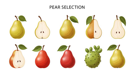 Obraz premium Ten illustrations of various pears and one prickly pear fruit against a white background