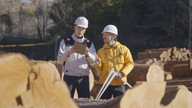 丸太のサイズを管理する林業従事者: 多摩木材センター協同組合