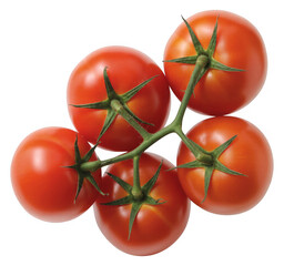 Five red tomatoes on a vine from different angles green stems isolated on a transparent background
