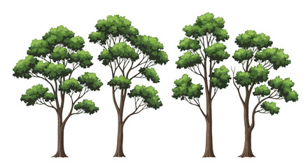 Fototapeta premium A collection of four detailed illustrations of tall, leafy green trees with brown trunks, set against a white background.