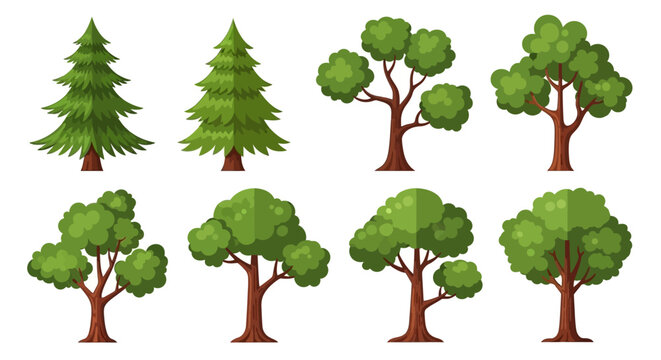 A collection of various cartoon-style trees including evergreen and deciduous types, depicted with green foliage and brown trunks on a white background.