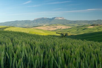 Obraz premium Lush green fields sweep across rolling hills towards distant mountains under clear blue sky.