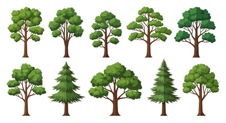 Fototapeta premium A collection of ten diverse cartoon-style trees, showcasing various shapes and foliage types, presented against a clean white background.