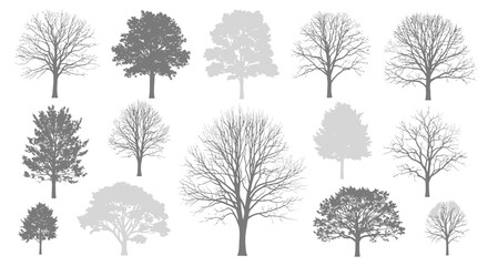 Fototapeta premium A collection of diverse deciduous trees in silhouette, showcasing various shapes and branch structures during winter or dormancy.
