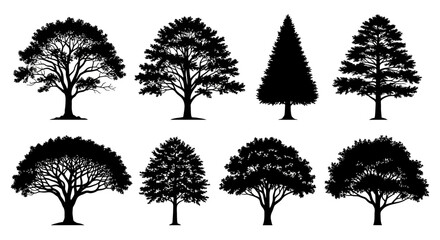 Fototapeta premium A collection of eight distinct black silhouettes of deciduous and coniferous trees, showcasing varied shapes and foliage patterns against a white background.