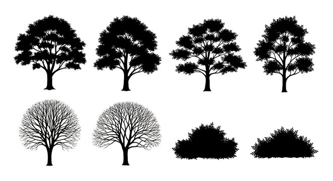 A collection of black silhouette illustrations of various trees and bushes in different seasons.