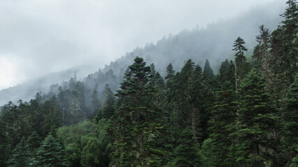 Obraz premium Aerial view of beautiful high altitude mountain and forest landscape