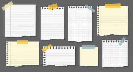 A collection of various blank paper notes, including lined, grid, and plain sheets, some white and some yellow, all taped to a dark grey background. © Erica
