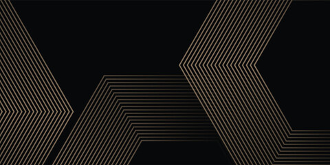 Abstract glowing geometric lines on black background. Modern shiny hexagon lines pattern. vector illustration eps10