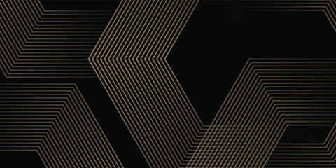 Abstract glowing geometric lines on black background. Modern shiny hexagon lines pattern. vector illustration eps10