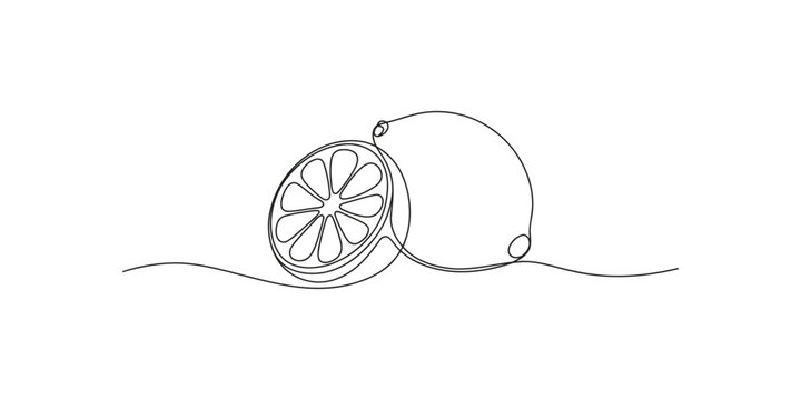 Continuous one line drawing of a lemon and a slice of lime resting on a surface