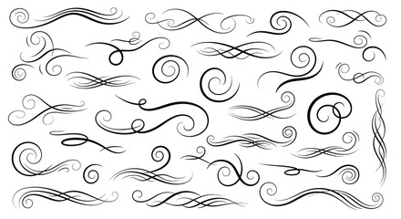 Obraz premium A collection of elegant black decorative swirls and flourishes, perfect for graphic design and embellishments.