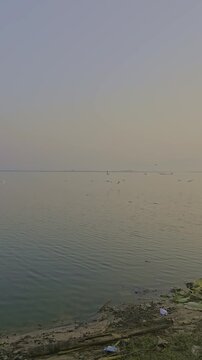 Vertical tracking shot of white egrets flock flying over Deepor Beel lake wetland in Guwahati Assam India. Migratory birds in natural habitat.