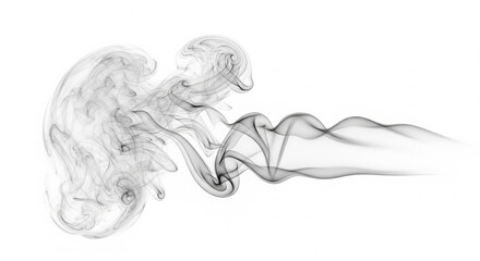 Fototapeta premium Abstract soft smoke cloud isolated on white background. Flowing transparent smoke with elegant curves, ideal for mystery concepts, artistic design, overlays, and atmospheric compositions.