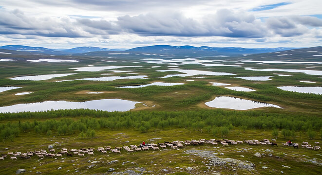 Drone footage of Finnmarksvidda Europe's largest plateau tundra lakes and Sami reindeer
