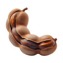 A beautifully roasted whole nutmeat with a cracked open shell revealing its rich interior.