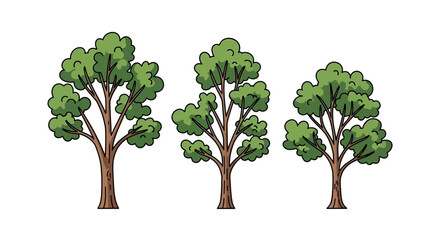 Obraz premium Three stylized cartoon trees with green leafy canopies and brown trunks, set against a white background.