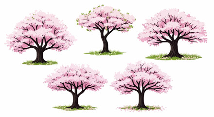 Obraz premium A collection of five beautiful illustrations of cherry blossom trees in full bloom, set against a white background.