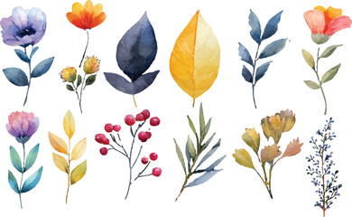 set of colorful flowers vector