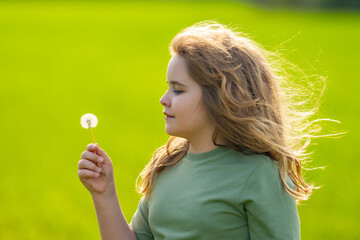 Obraz premium Child blowing dandelion. Dreamy summer nature. Child blowing dandelion. Innocence happiness joy. Child blowing dandelion. Green meadow garden. Child blowing dandelion.