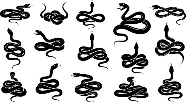 Detailed black snake silhouette collection featuring various serpents in coiled, crawling, and striking poses for wildlife and danger concepts.