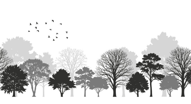 A monochrome silhouette of a diverse forest with various trees and a flock of birds flying in the sky.