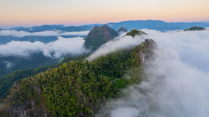 Stunning natural scenery: forests and morning mist in Thailand.