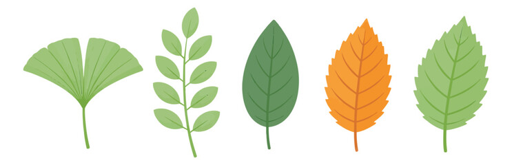 Stylized nature leaves set featuring diverse foliage types for seasonal and environmental designs
